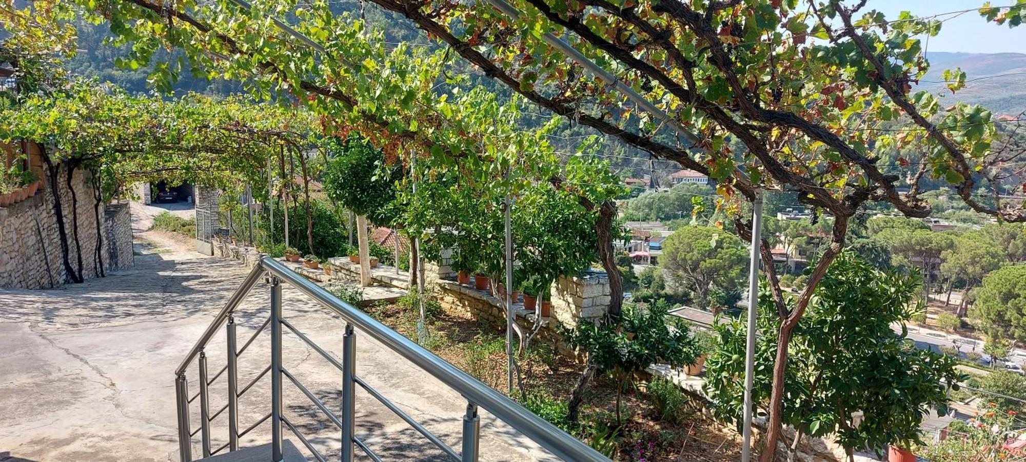 בראט Green Forest מראה חיצוני תמונה